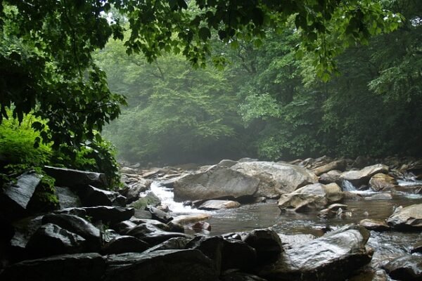 Tips for an Unforgettable Experience in Gatlinburg