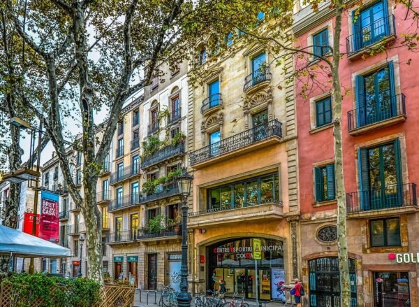 Picasso’s Footsteps: Art and Culture Walking Tour in Barcelona