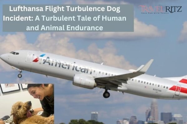 Lufthansa Flight Turbulence Dog Incident: A Turbulent Tale of Human and Animal Endurance